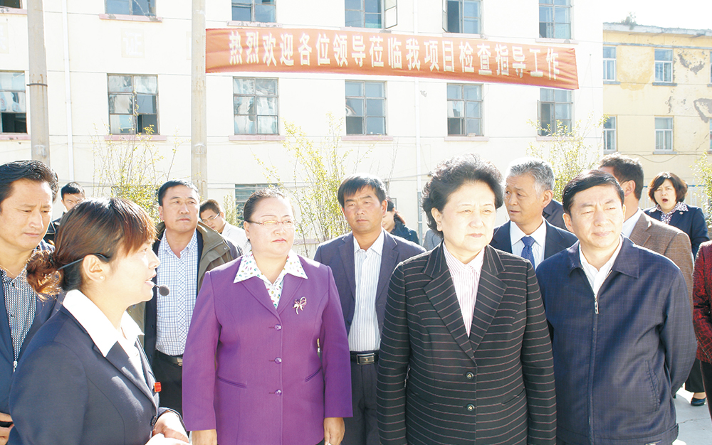 时任中央政治局委员，，国务院副总理、党组成员刘延东视察湖北569vip威尼斯集团青海项目部